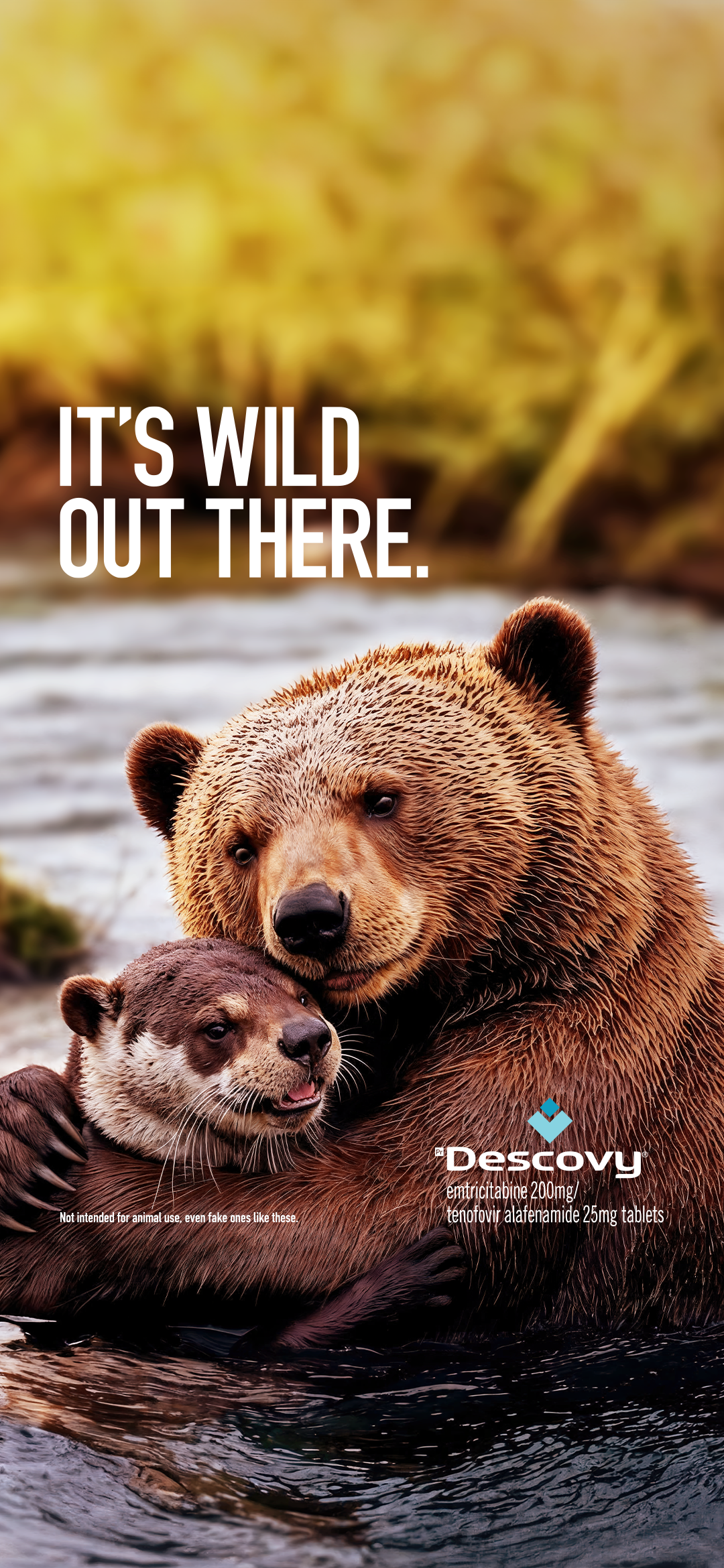 Bear screensaver