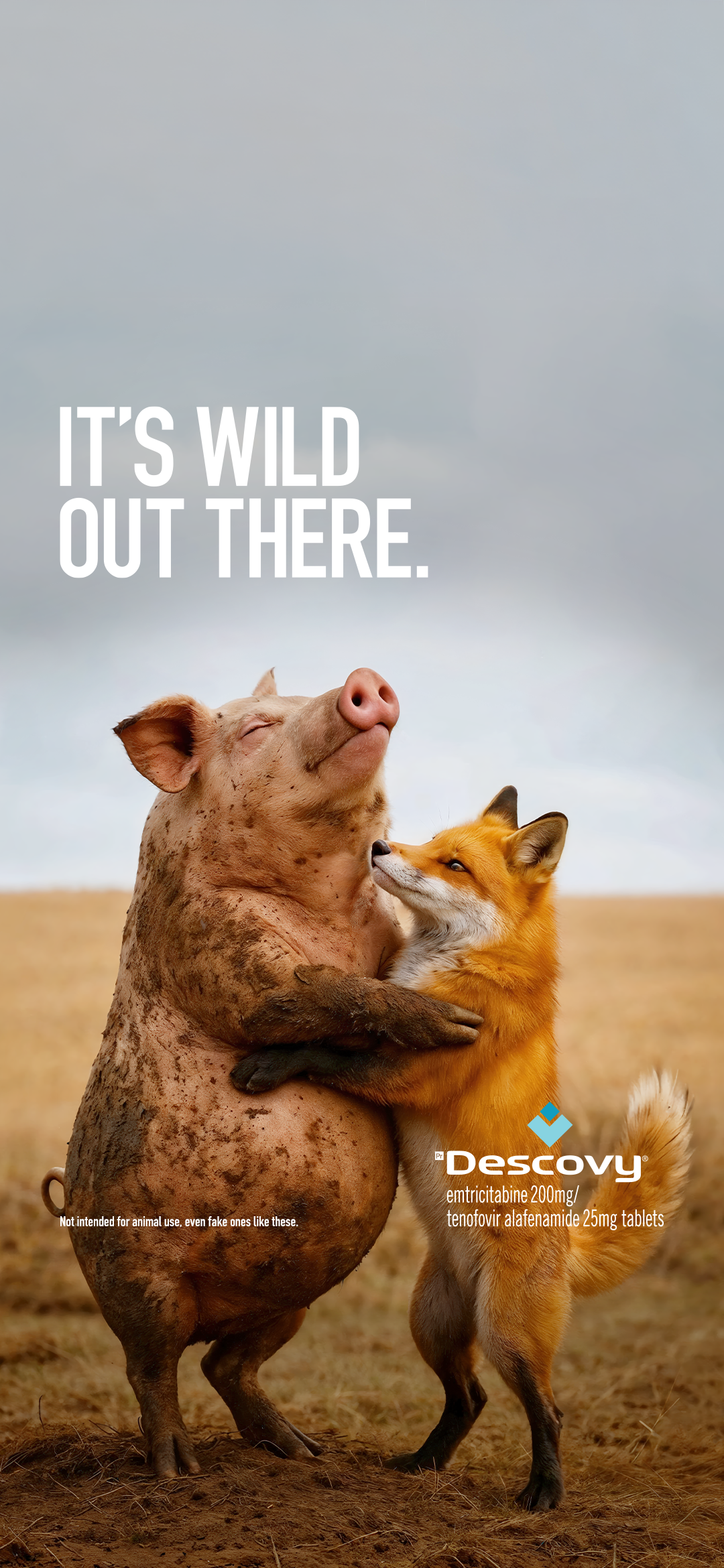 Pig screensaver