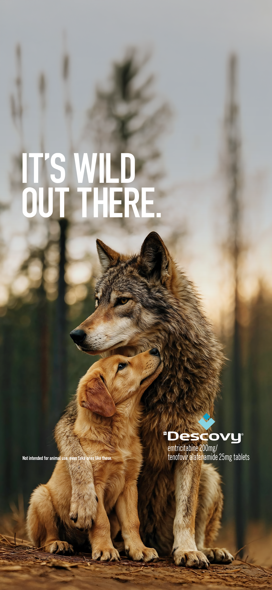 Wolf screensaver
